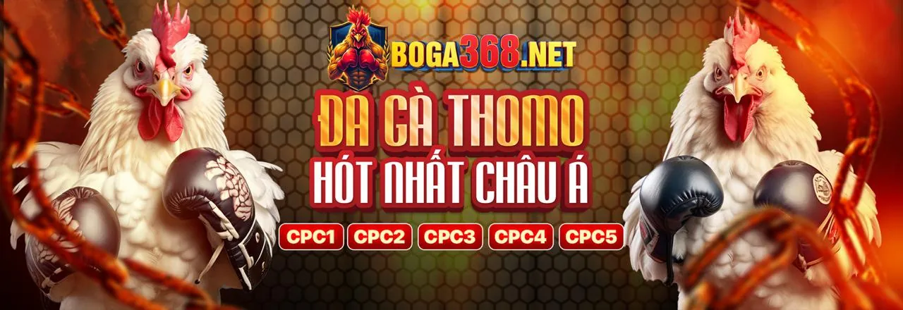 Đá Gà Trực Tuyến kịch tính tại bong8899 win